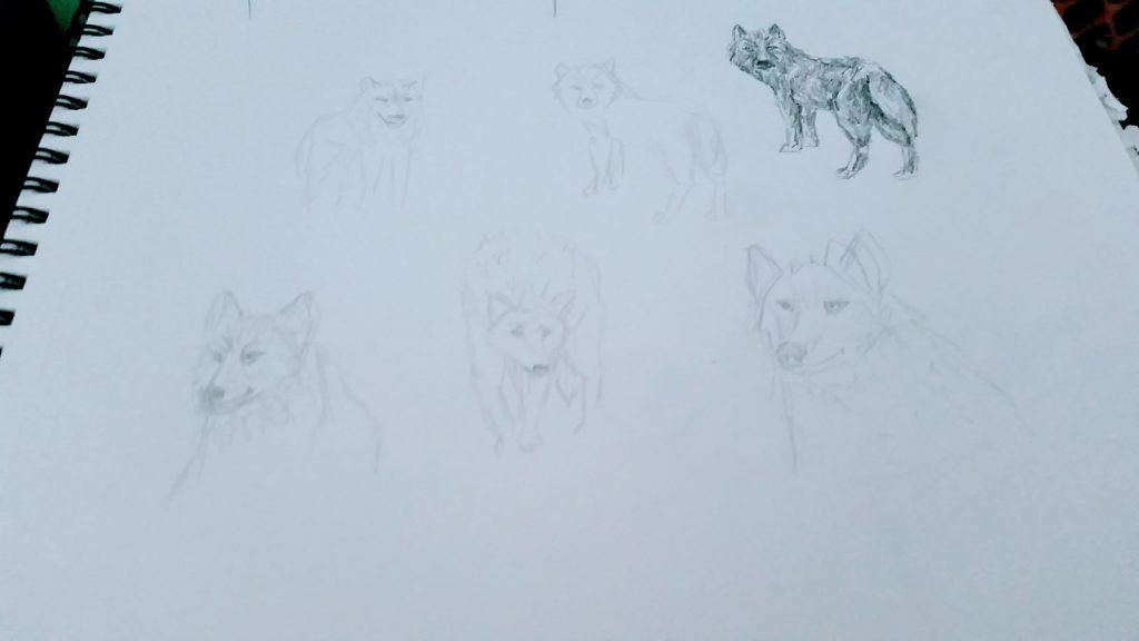 Wolves Sketch 1
