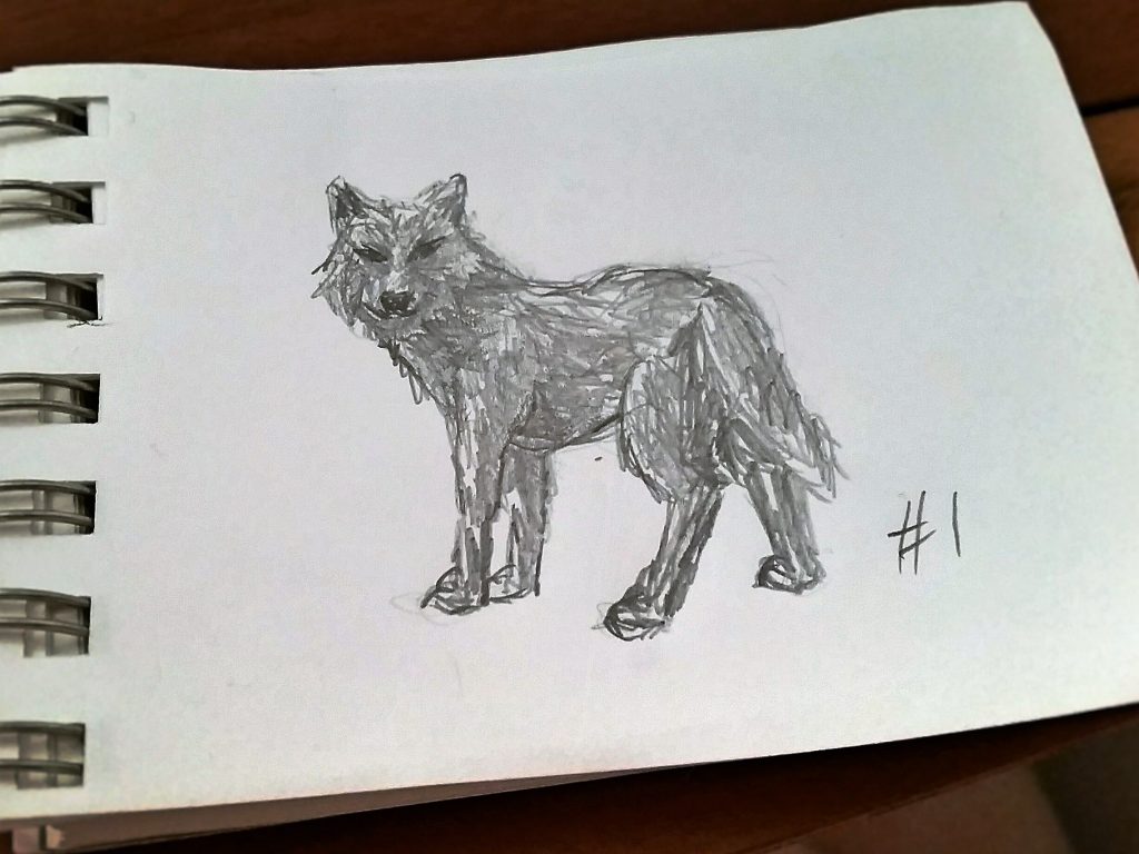 A Wolf A Day - Sketch # 1