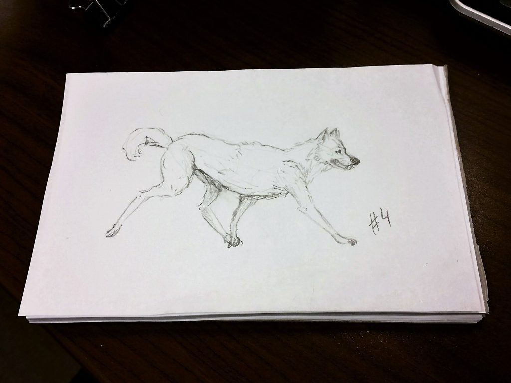 A Wolf A Day - Sketch # 4