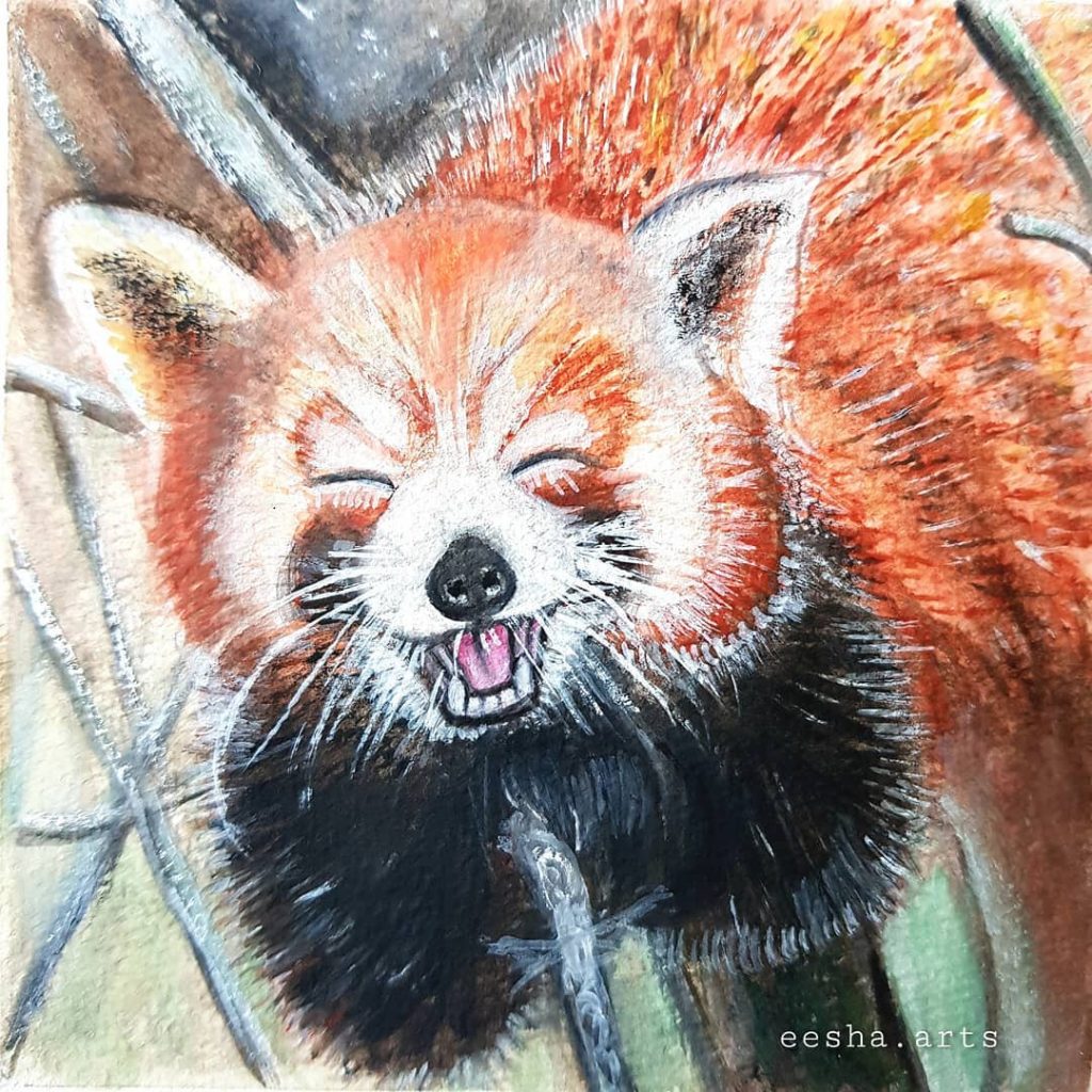 Red Panda 🐾 - Eesha Hariramani
