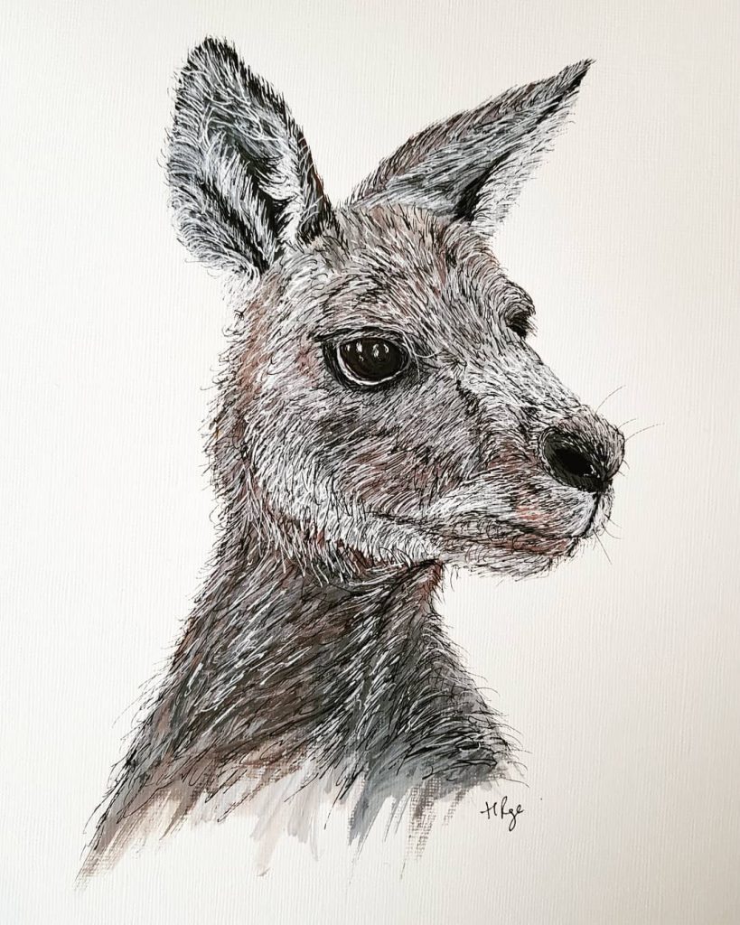 Kangaroo - Helen Page