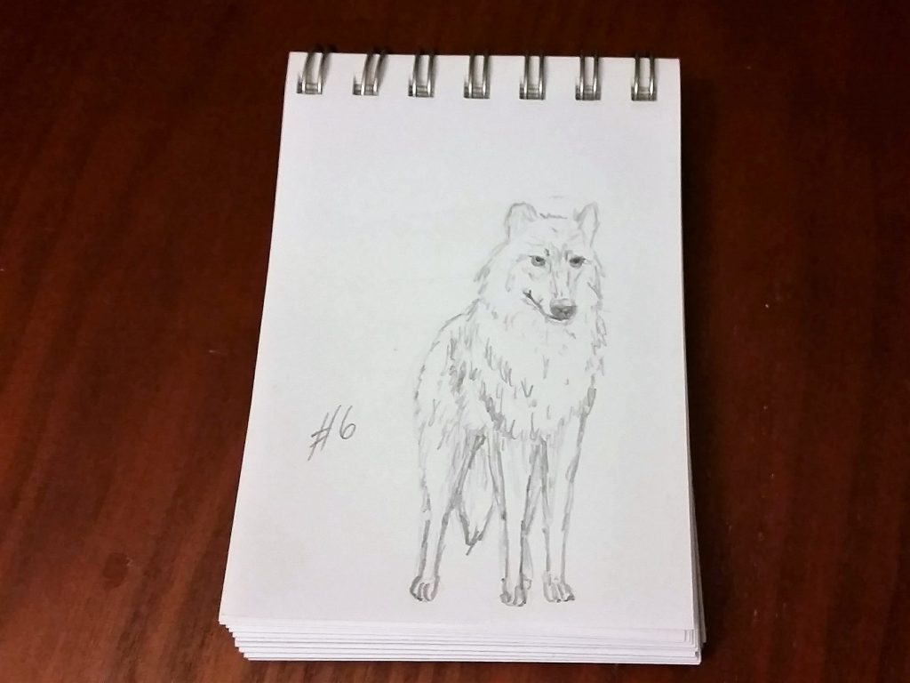 A Wolf A Day - Sketch # 6