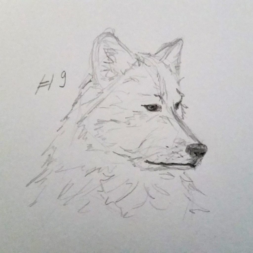 A Wolf A Day - Sketch # 9