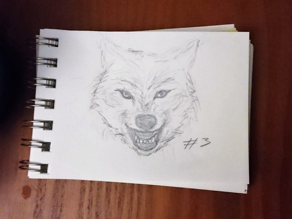A Wolf A Day - Sketch # 3