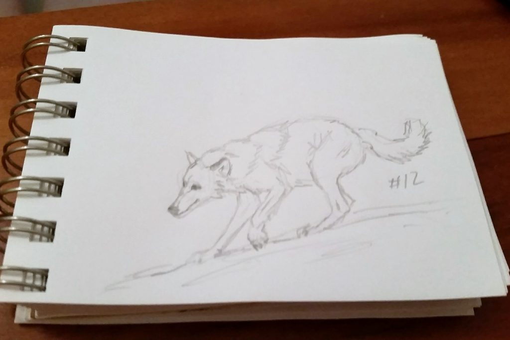 A Wolf A Day - Sketch # 12