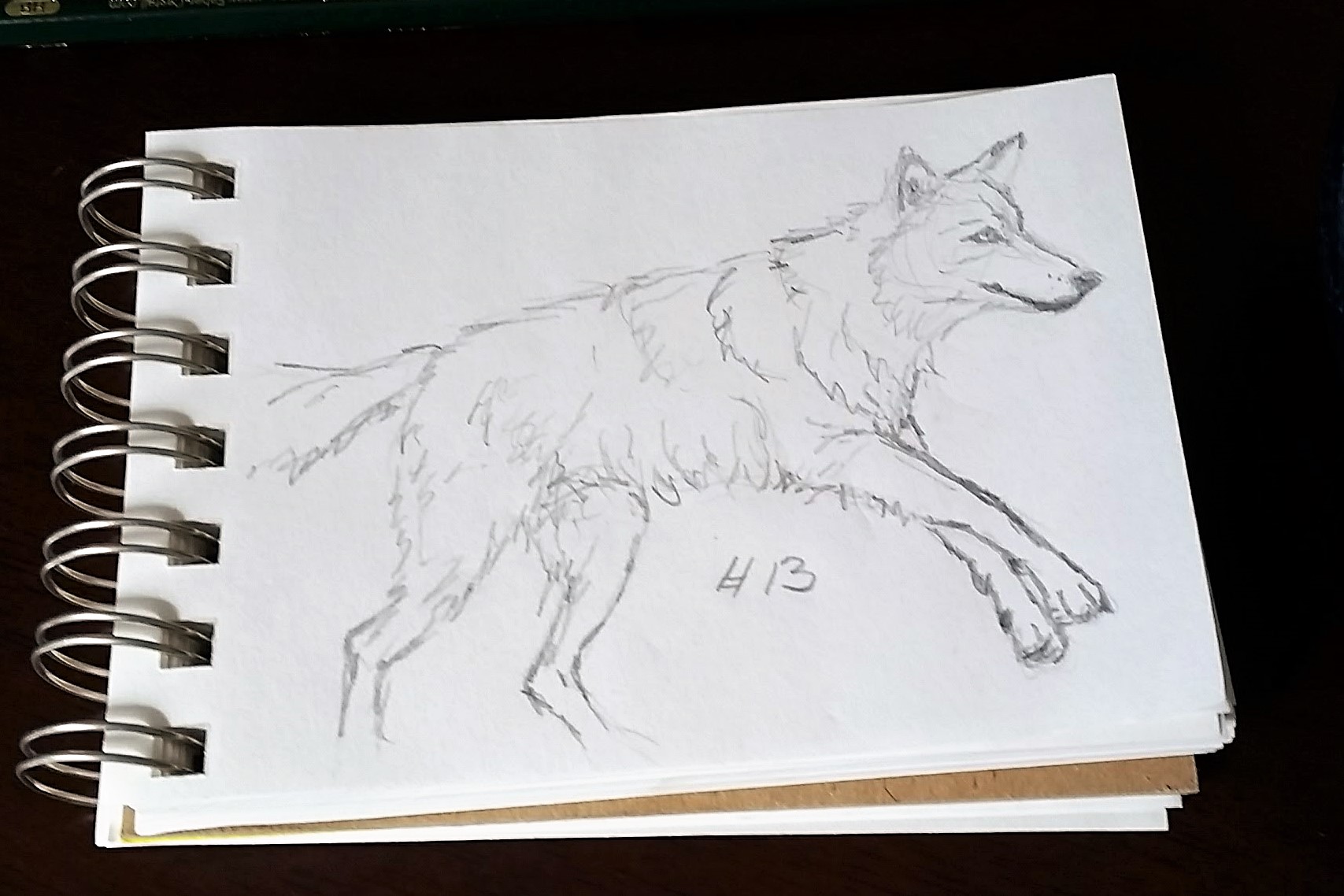 A Wolf A Day - Sketch # 13