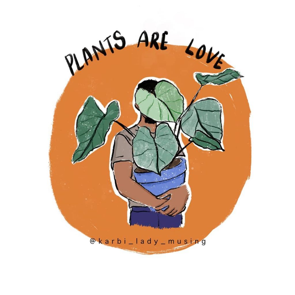 PLANTS - Terangpi K