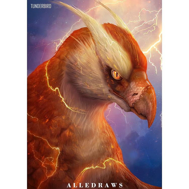 Thunderbird - Alleff Augusto