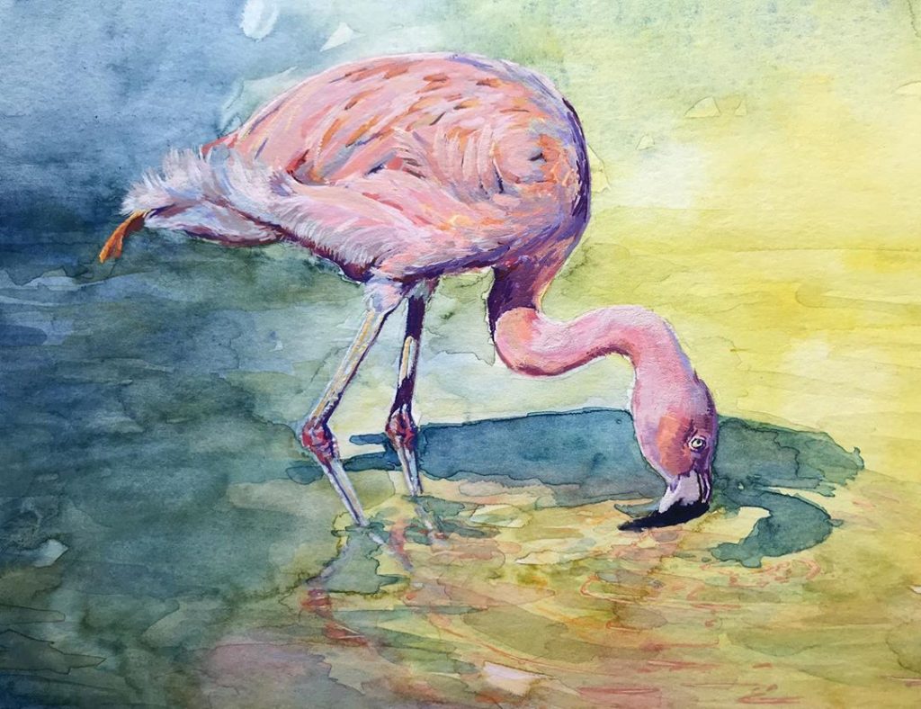 Flamingo in gouache - Valerie de Rozarieux