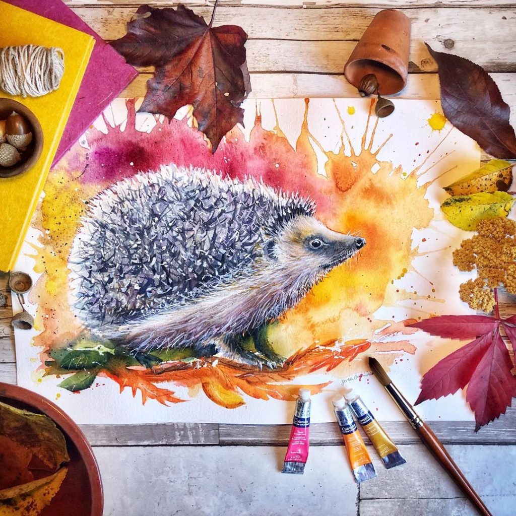 Hedgehog - Sarah Granville