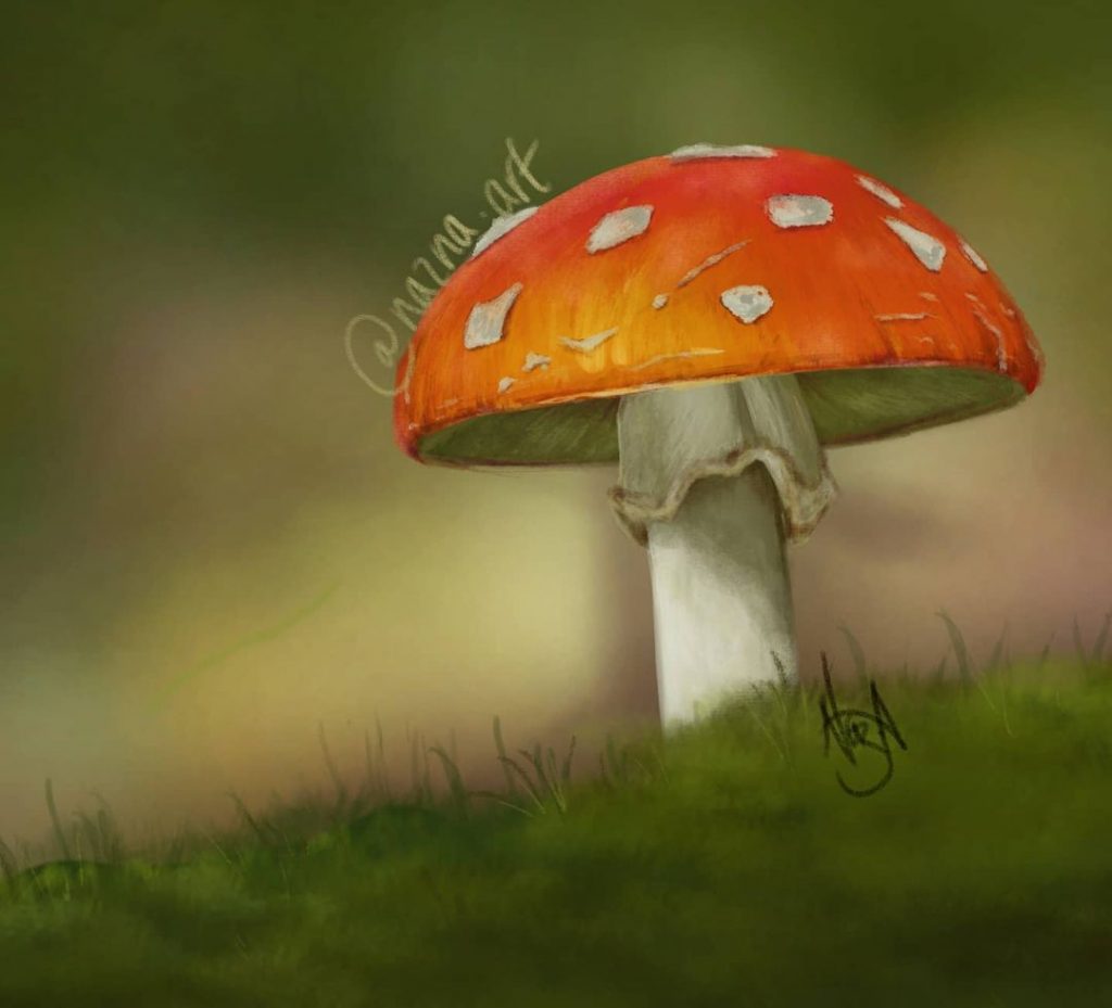 The cutest little mushroom - Nazna Art