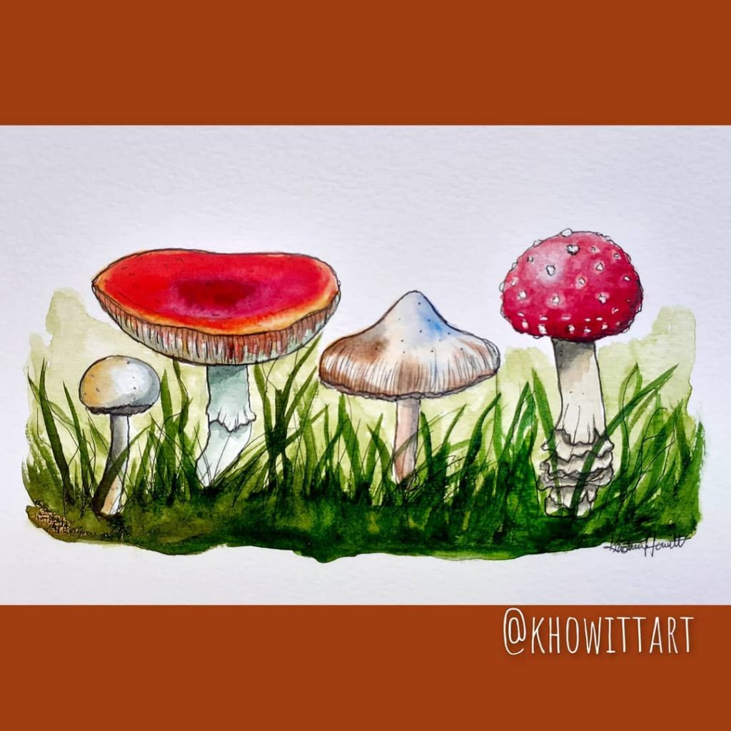 Field Mushrooms  - Kristina Howitt 