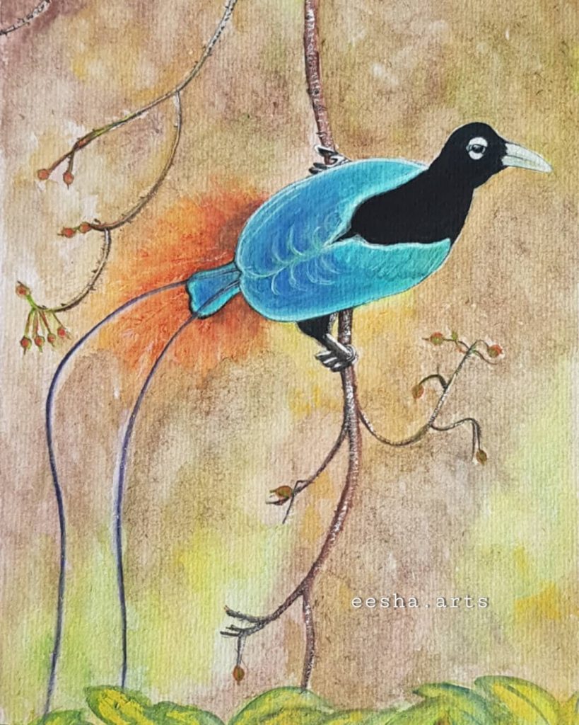Blue bird-of-Paradise (Paradisornis rudolphi)  - Eesha Hariramani