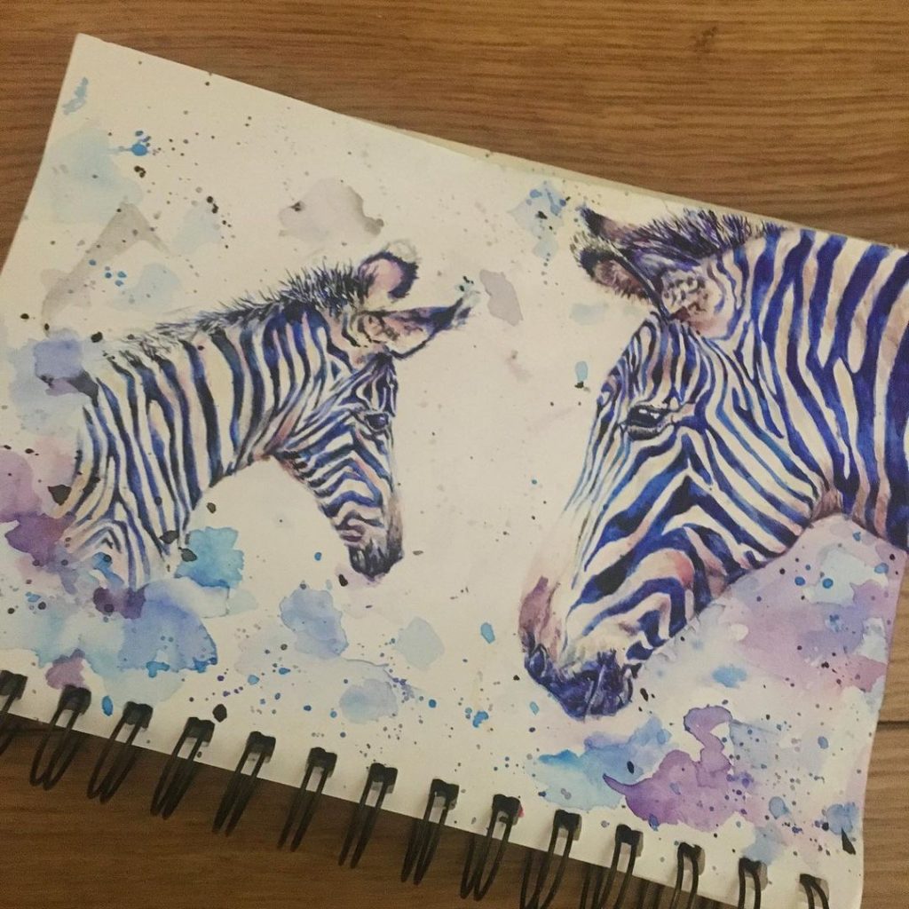 Grevy’s Zebras - Rachel E