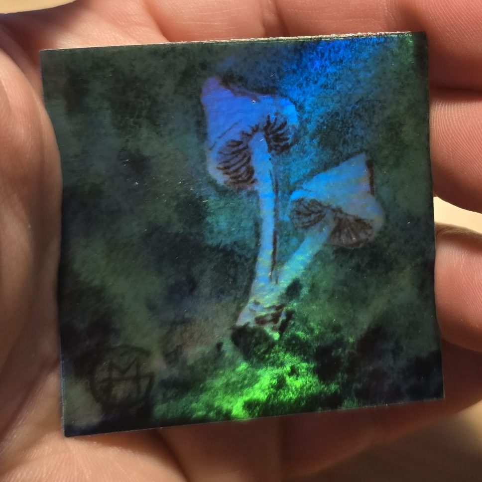Mushrooms - Holographic Stickers (2"x2") - Image 2